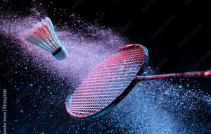 Badminton